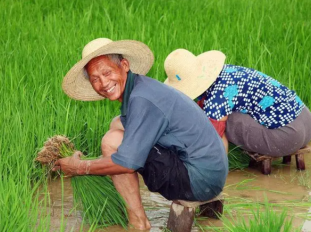 微信图片_20221211141843