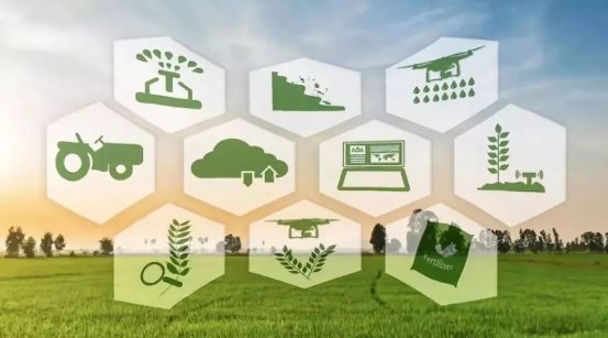 20191230200903_f745a8 (1)